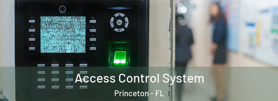  Access Control System Princeton - FL