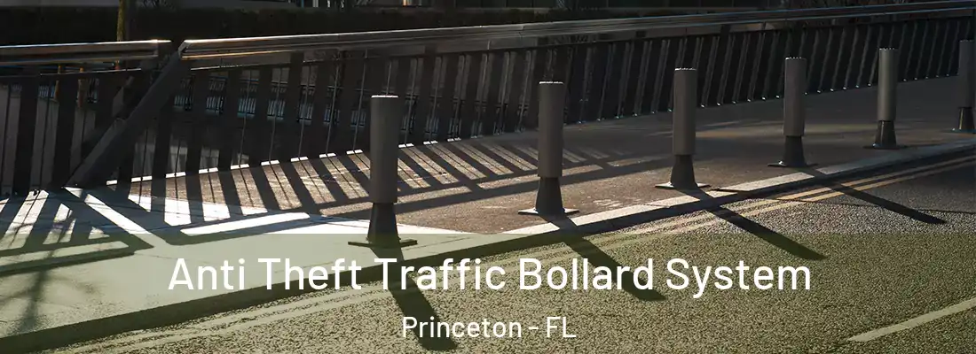  Anti Theft Traffic Bollard System Princeton - FL