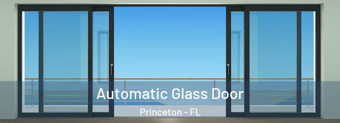  Automatic Glass Door Princeton - FL