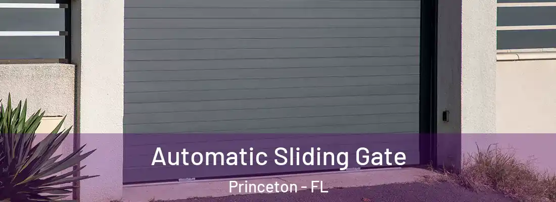  Automatic Sliding Gate Princeton - FL