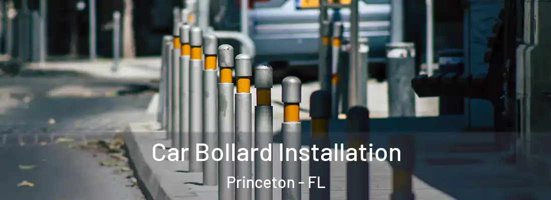  Car Bollard Installation Princeton - FL