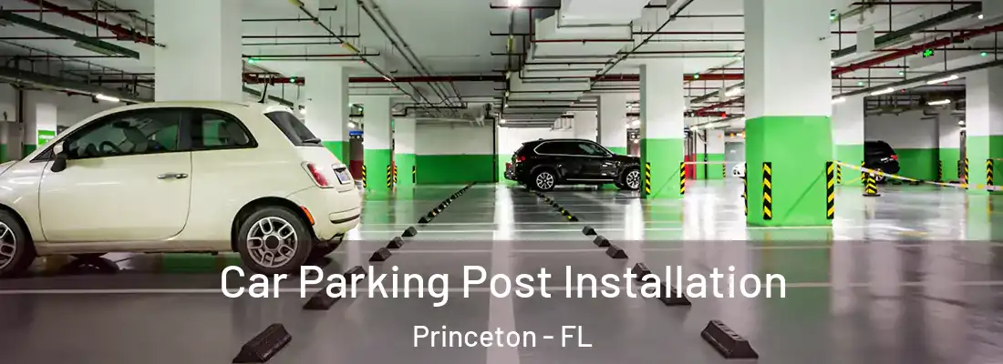  Car Parking Post Installation Princeton - FL