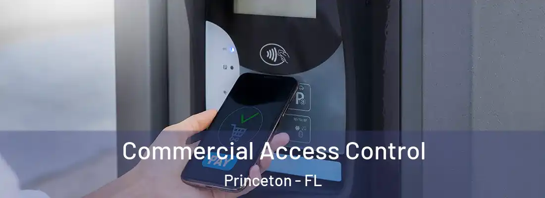  Commercial Access Control Princeton - FL