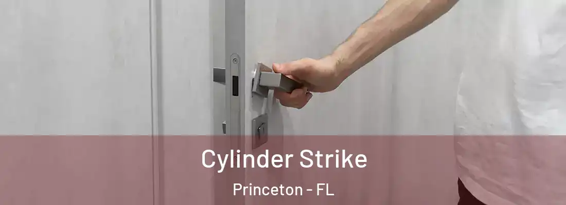 Cylinder Strike Princeton - FL