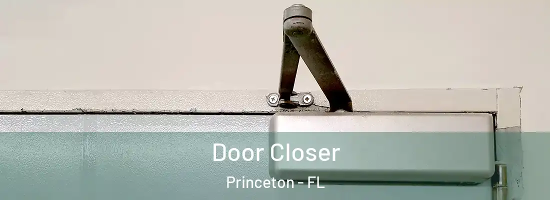 Door Closer Princeton - FL