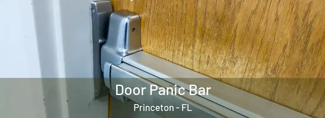  Door Panic Bar Princeton - FL