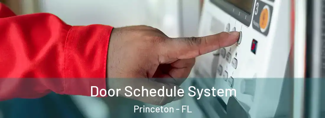  Door Schedule System Princeton - FL