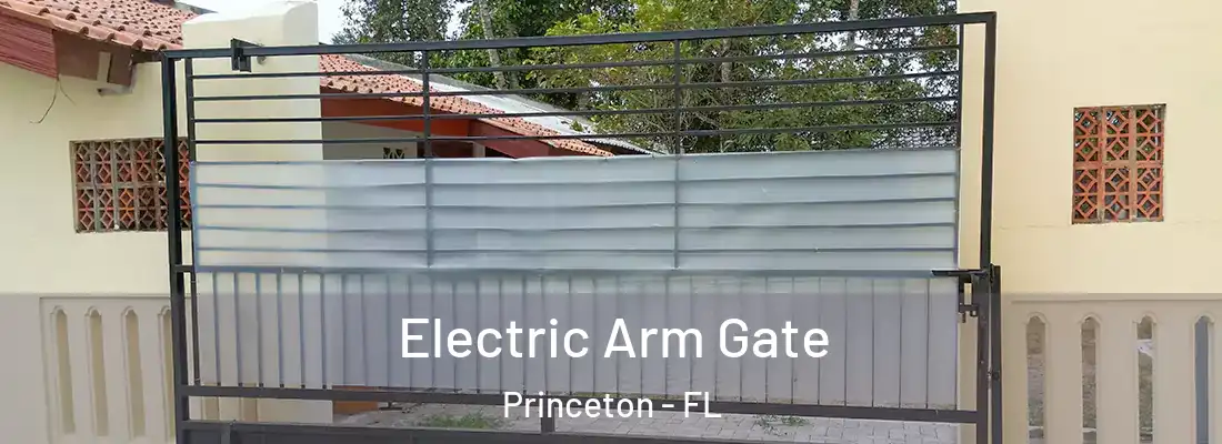  Electric Arm Gate Princeton - FL
