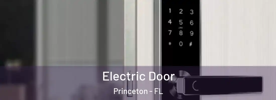  Electric Door Princeton - FL