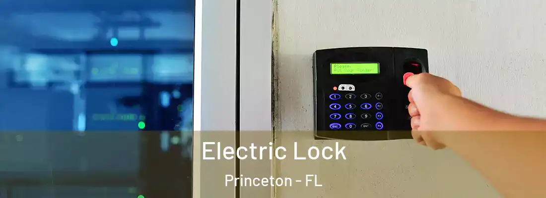  Electric Lock Princeton - FL