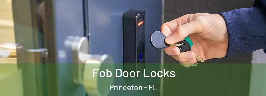  Fob Door Locks Princeton - FL