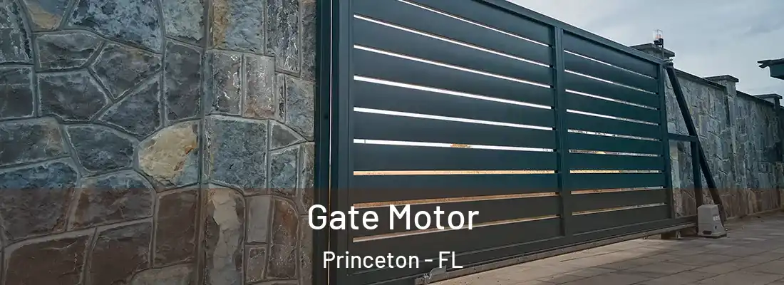  Gate Motor Princeton - FL