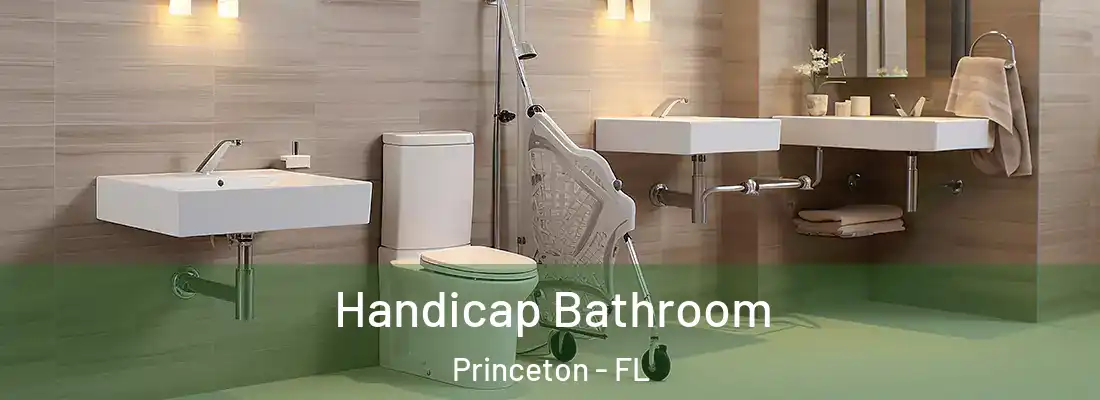  Handicap Bathroom Princeton - FL