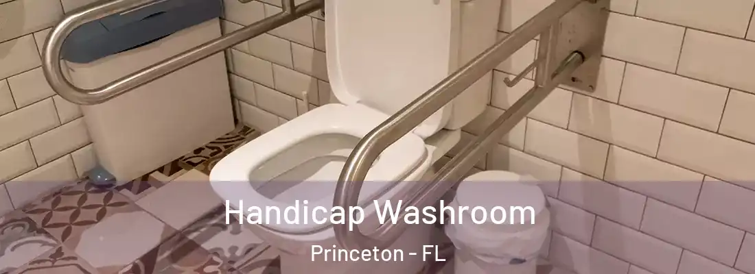  Handicap Washroom Princeton - FL