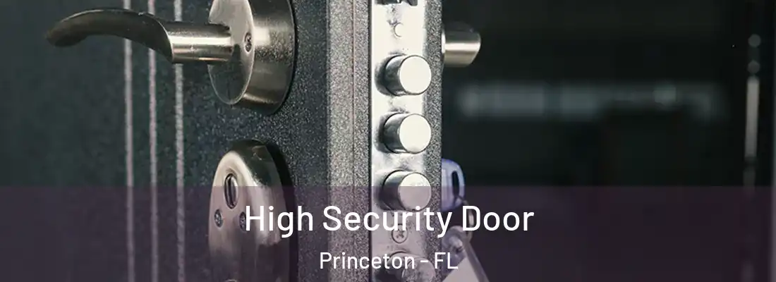  High Security Door Princeton - FL