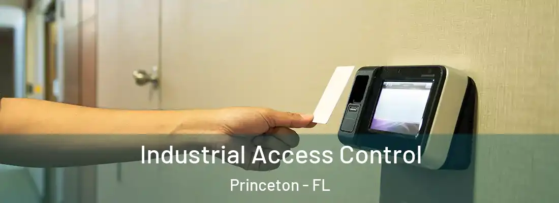  Industrial Access Control Princeton - FL