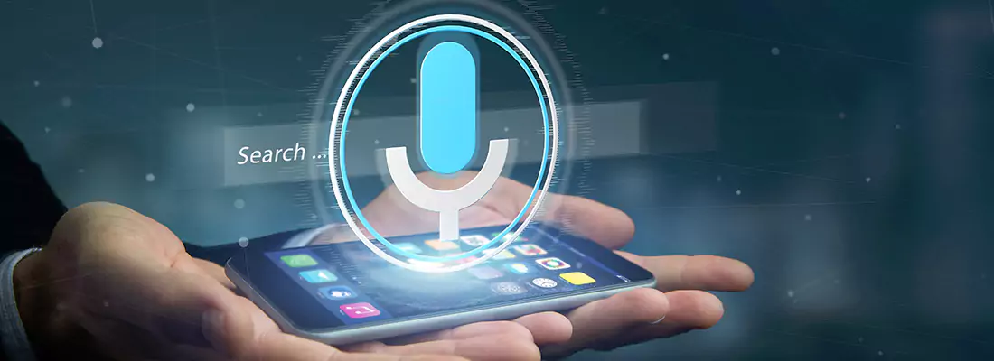 Enhance Security with Voice Recognition Access Systems in Princeton, FL