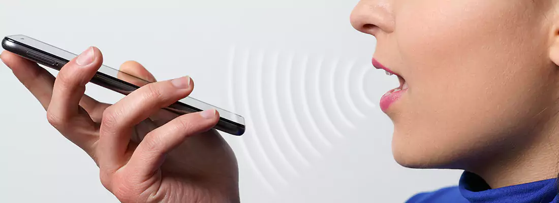 Residential and Commercial Voice Recognition Access Solutions in Princeton, FL