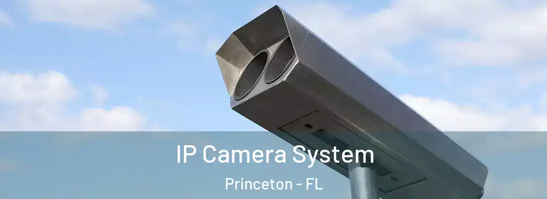  IP Camera System Princeton - FL