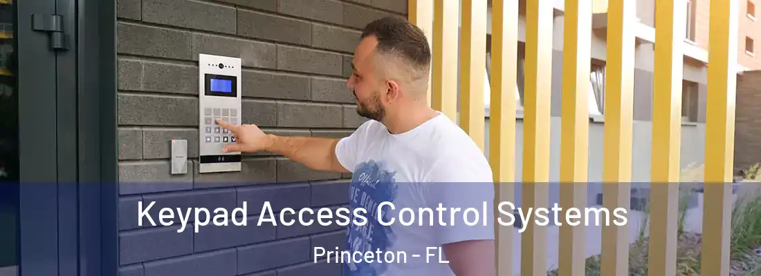  Keypad Access Control Systems Princeton - FL