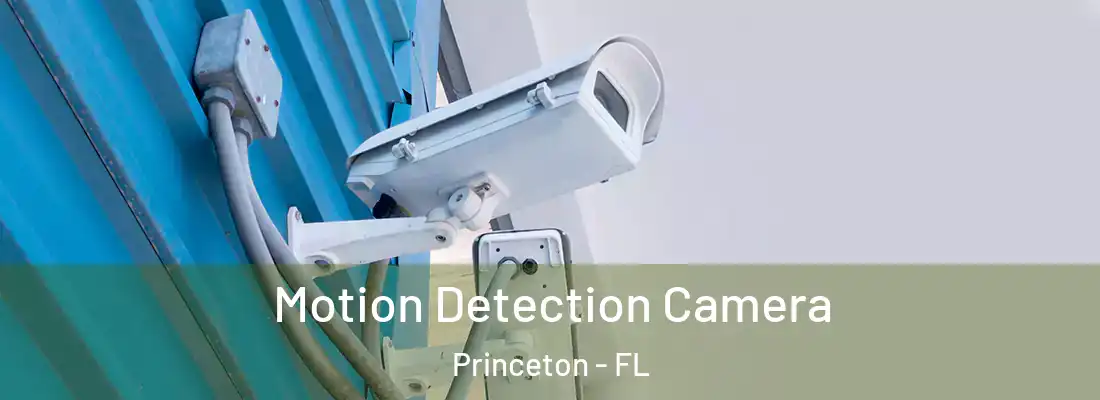  Motion Detection Camera Princeton - FL