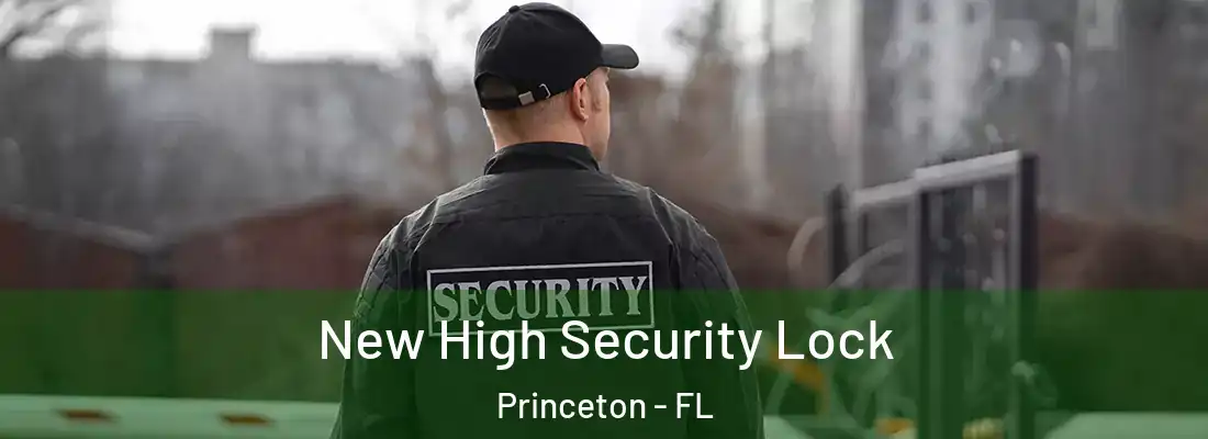  New High Security Lock Princeton - FL