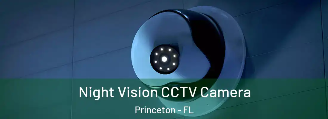  Night Vision CCTV Camera Princeton - FL