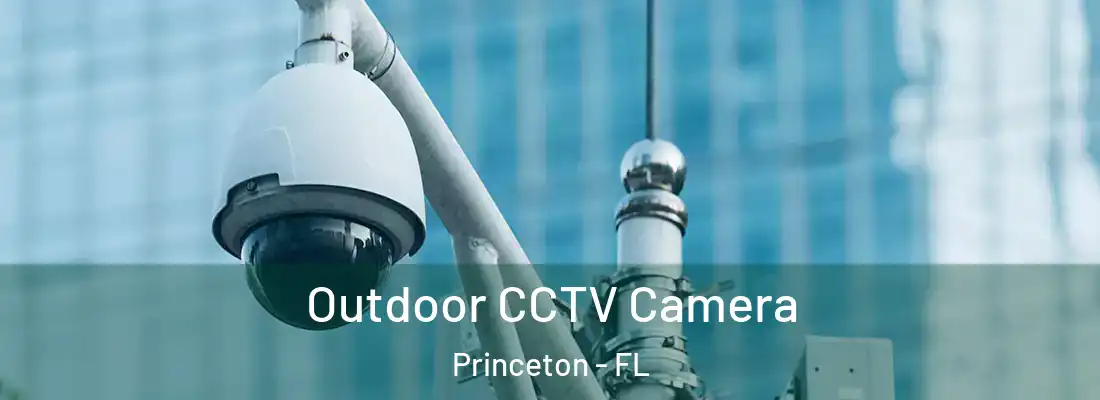  Outdoor CCTV Camera Princeton - FL
