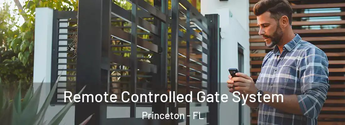  Remote Controlled Gate System Princeton - FL