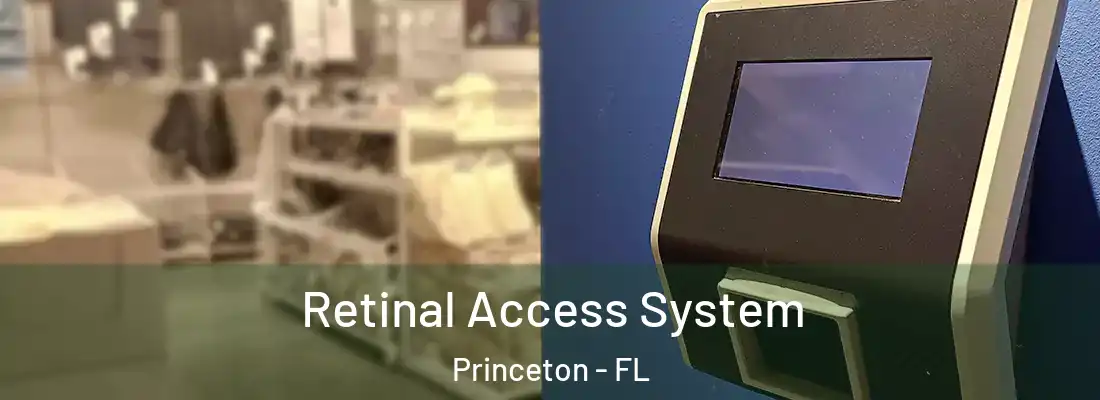  Retinal Access System Princeton - FL