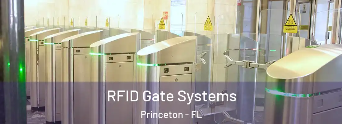  RFID Gate Systems Princeton - FL
