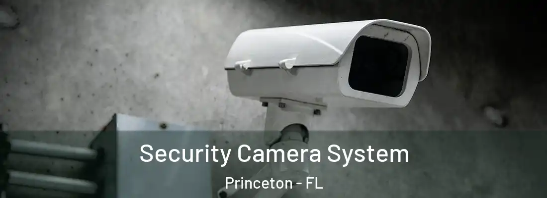  Security Camera System Princeton - FL