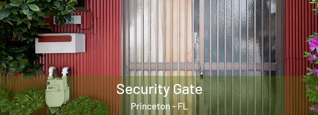  Security Gate Princeton - FL