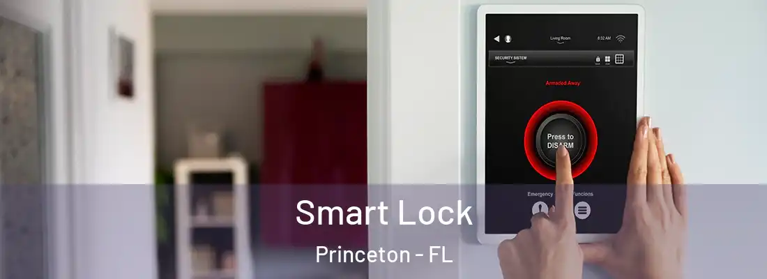  Smart Lock Princeton - FL