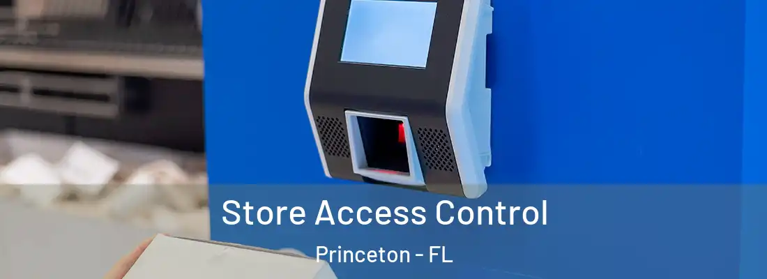 Store Access Control Princeton - FL
