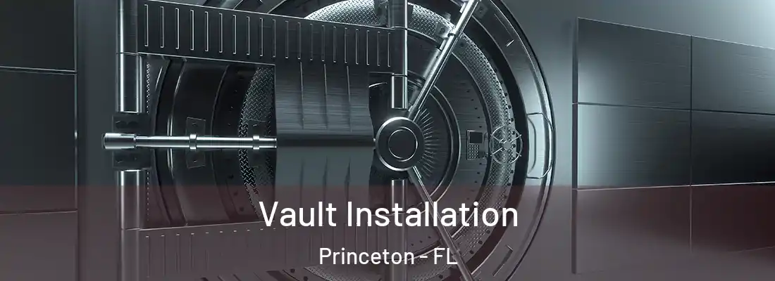  Vault Installation Princeton - FL